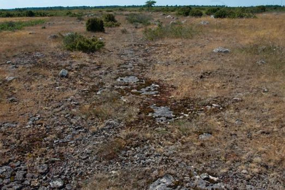 Gösslunda rör 3