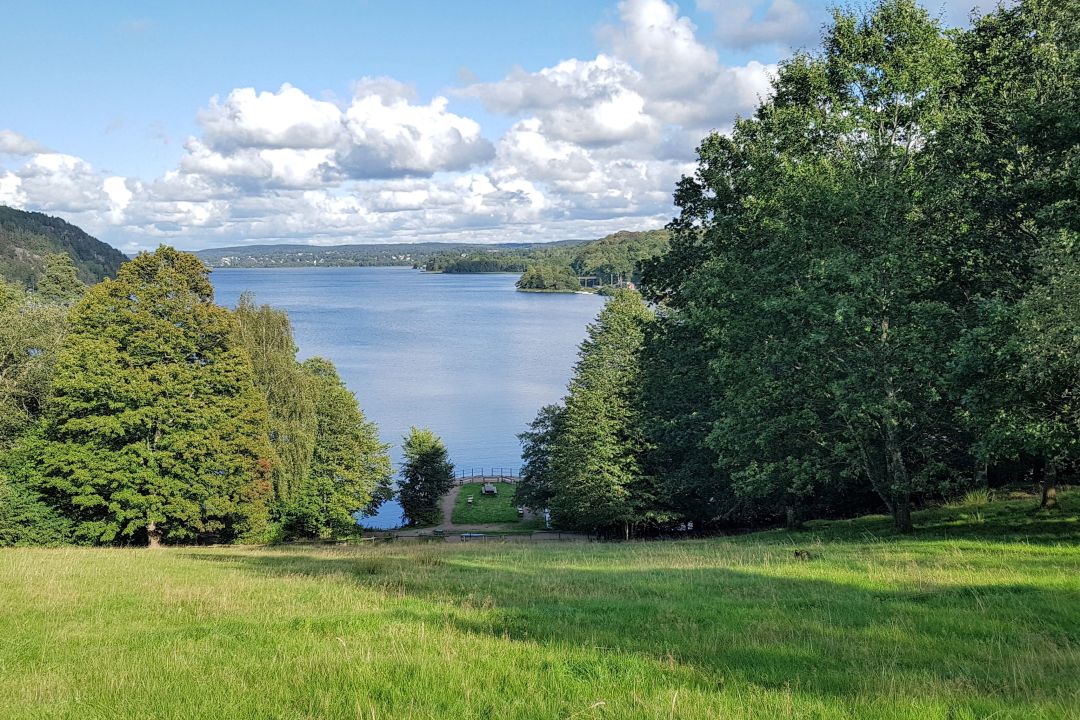 Jonsereds Trädgårdar 2