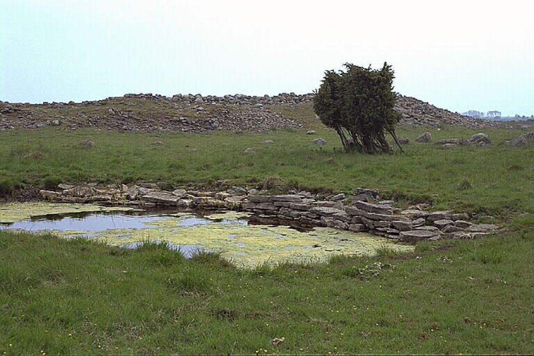 Sandby borg 4