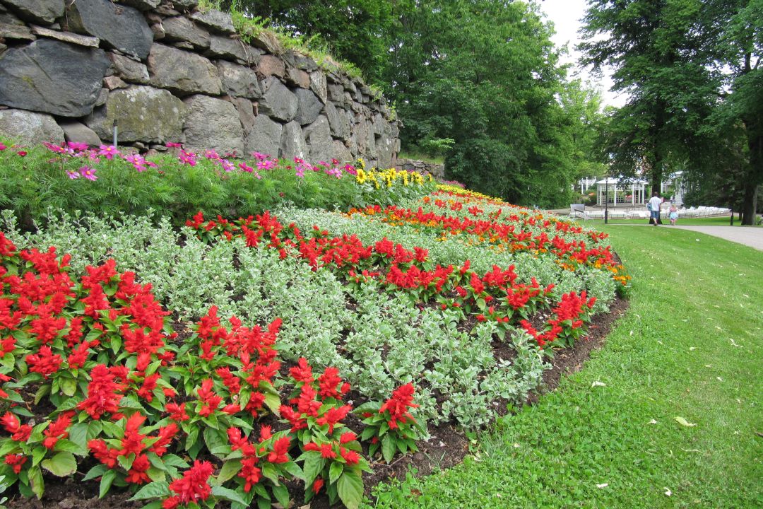 Stadsparken 4