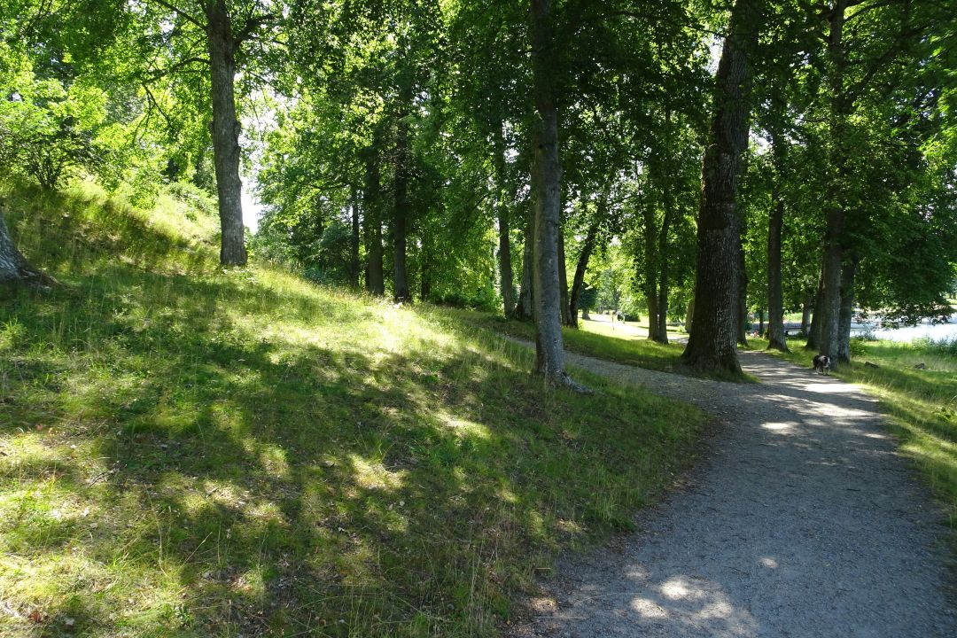 Taxinge Slott 6