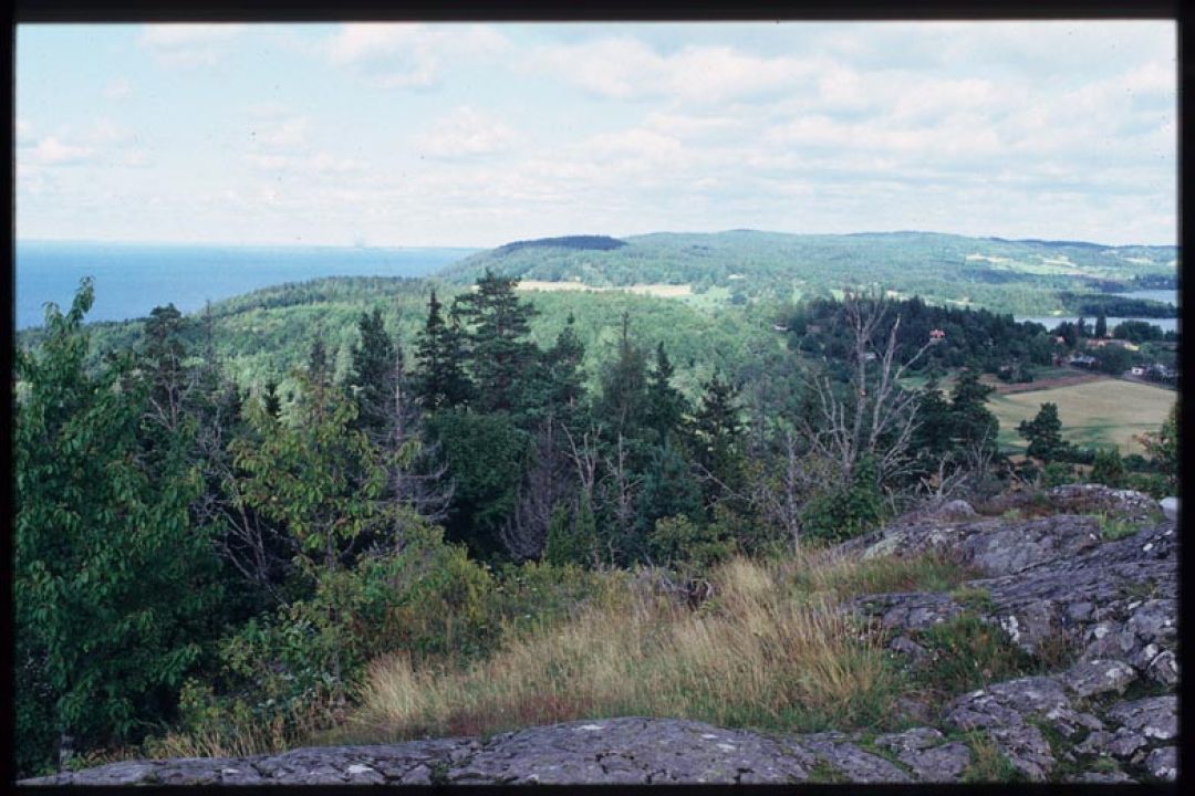 Vista kulle: rastplats 1